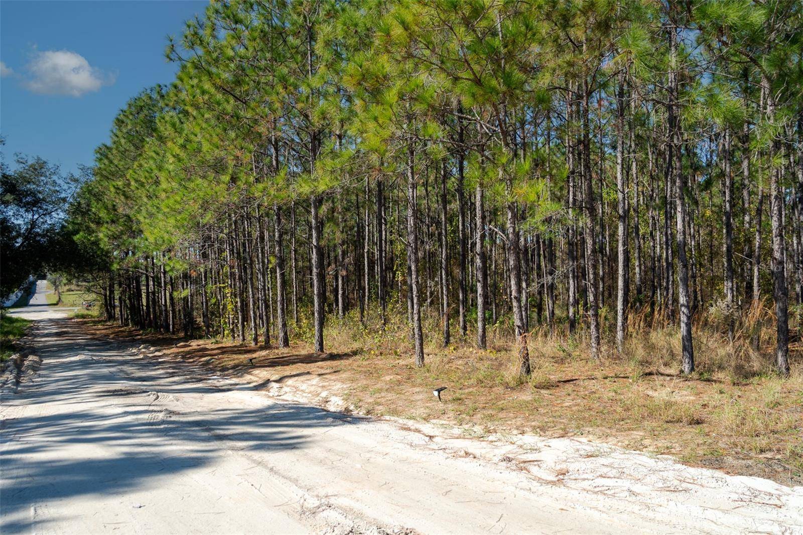 LOST LAKE RD, Clermont, FL 34711