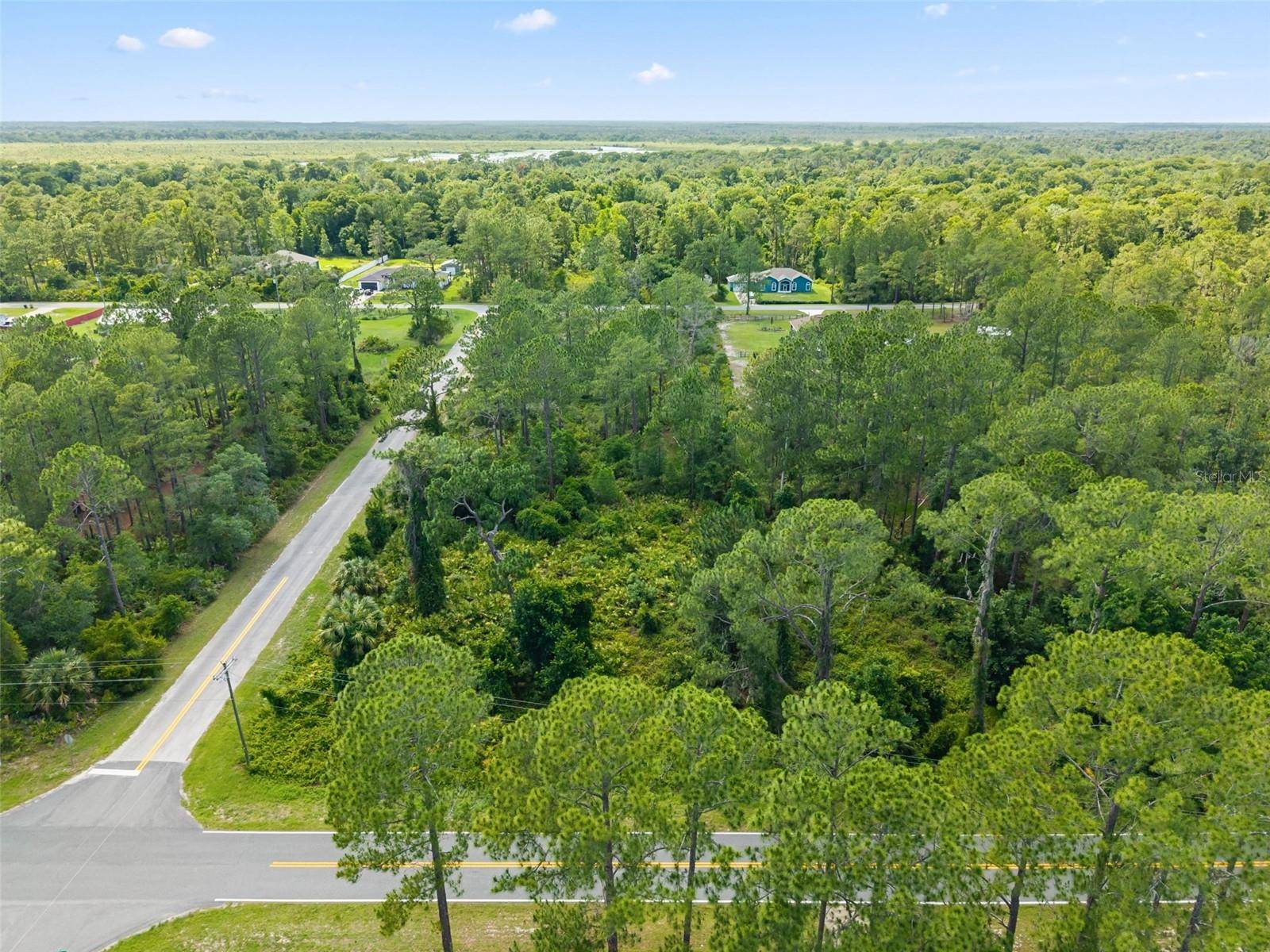 ROYAL TRAILS RD, Eustis, FL 32726