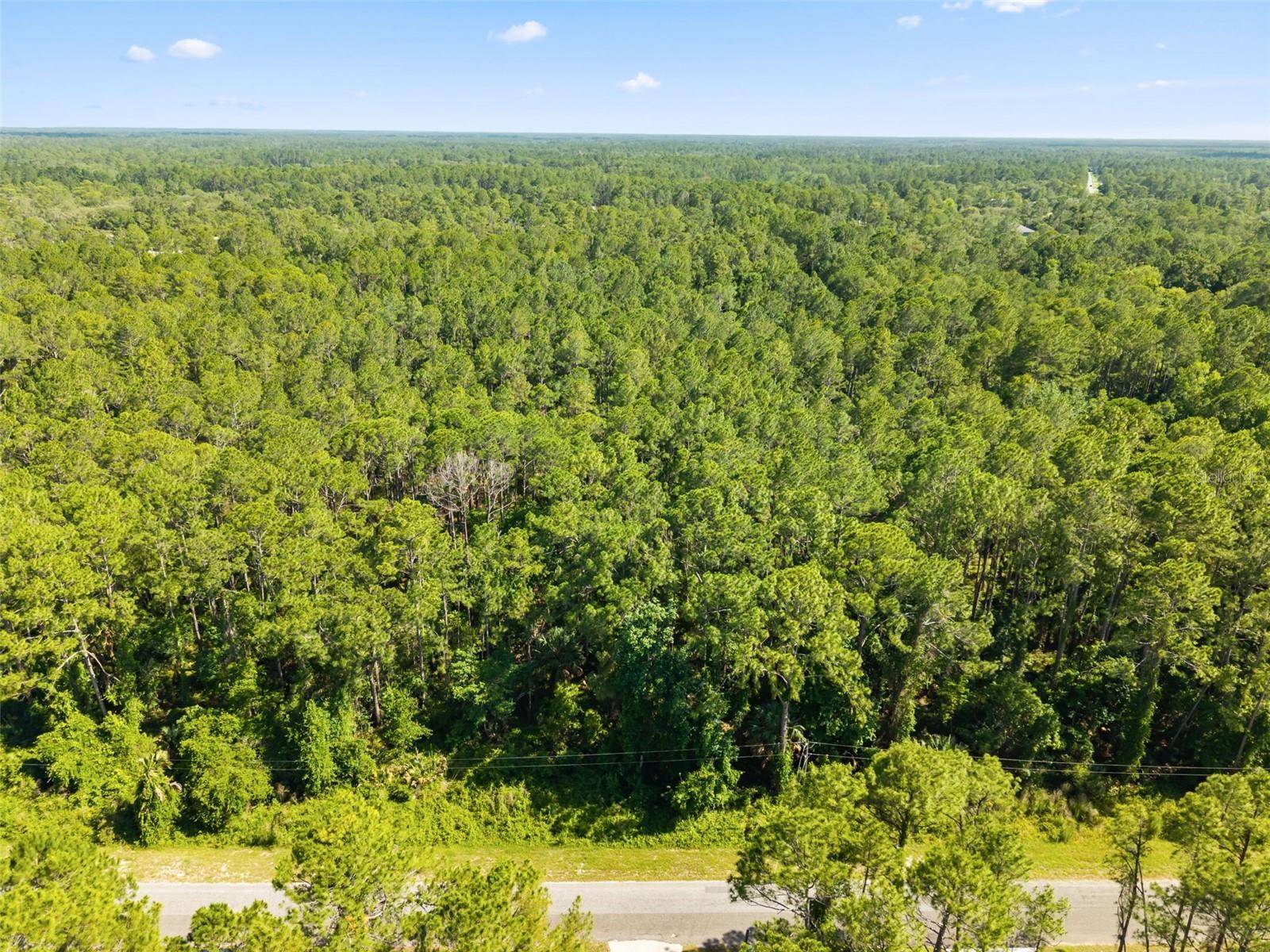 APRICOT AVE, Eustis, FL 32736