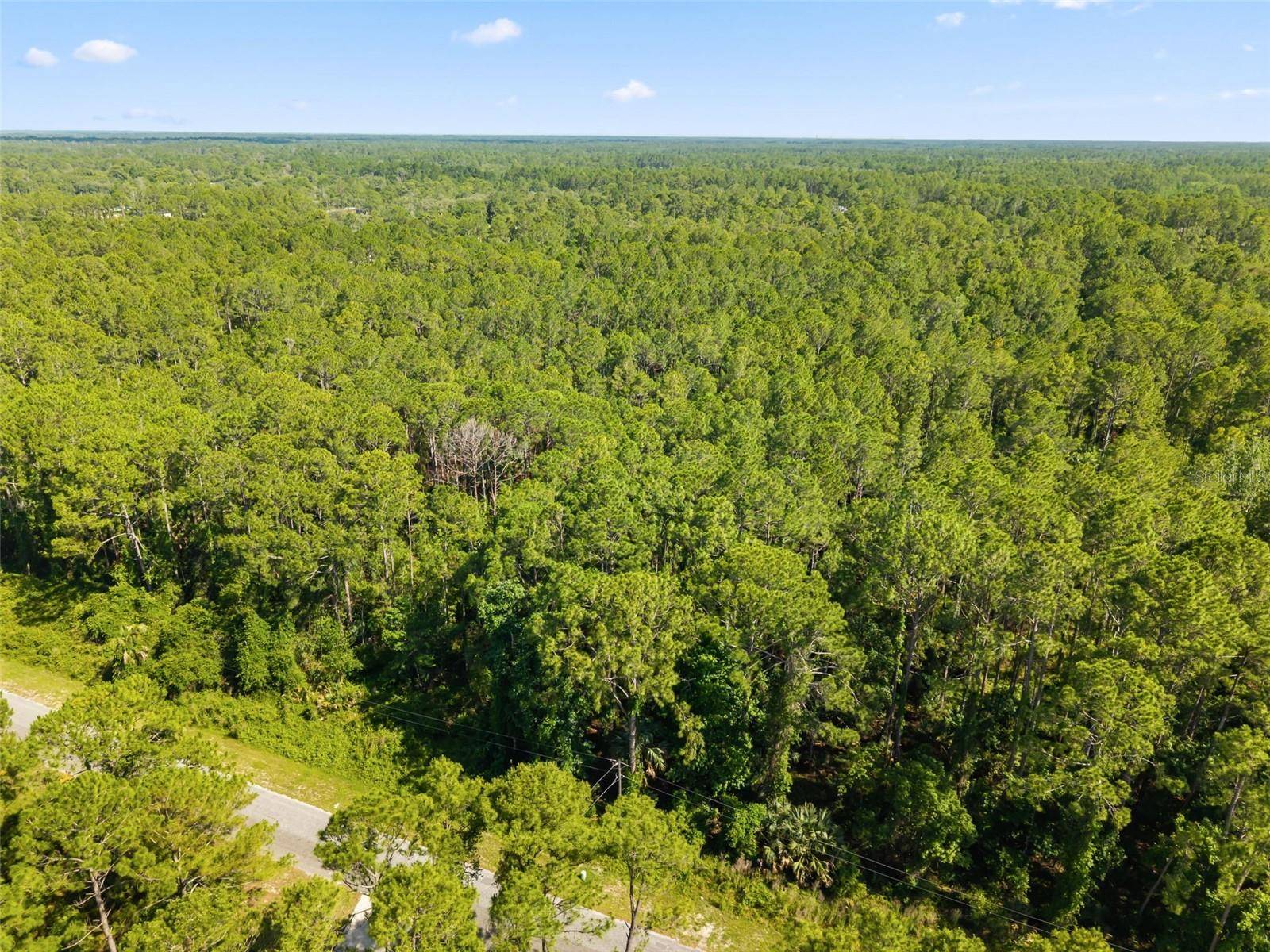 APRICOT AVE, Eustis, FL 32736