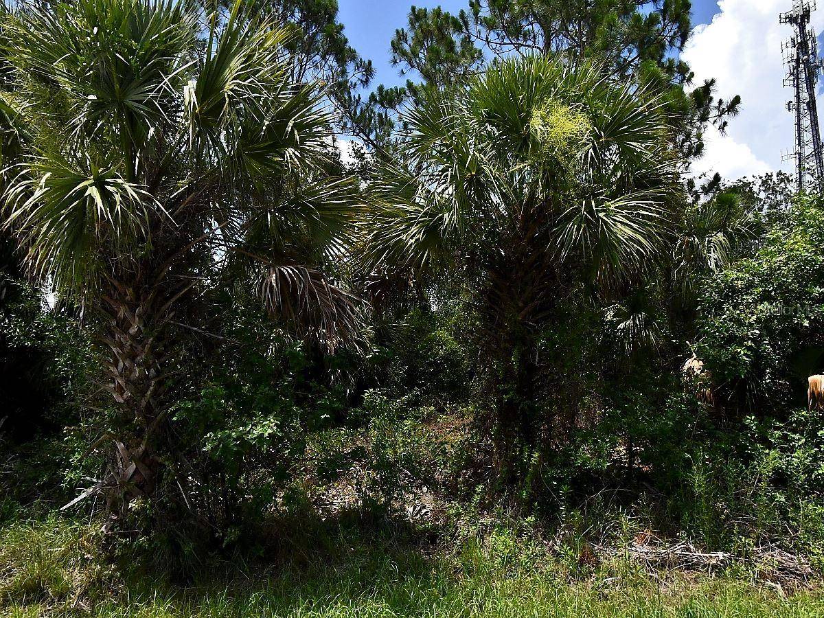 SAGO PALM RD, North Port, FL 34291
