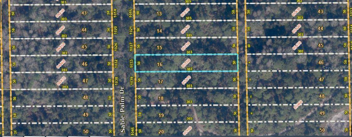 1033 SABLE PALM DR, Christmas, FL 32709