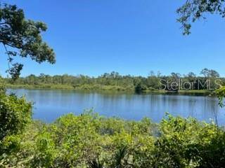 VISTA ST, Lake Helen, FL 32744