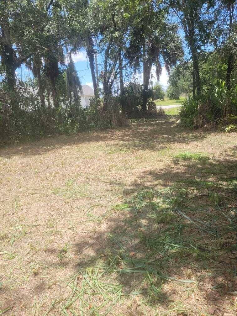 6631 MERLE ST, Mulberry, FL 33860