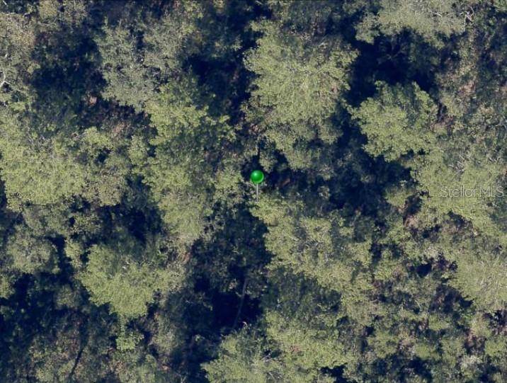 NO STREET, De Leon Springs, FL 32130