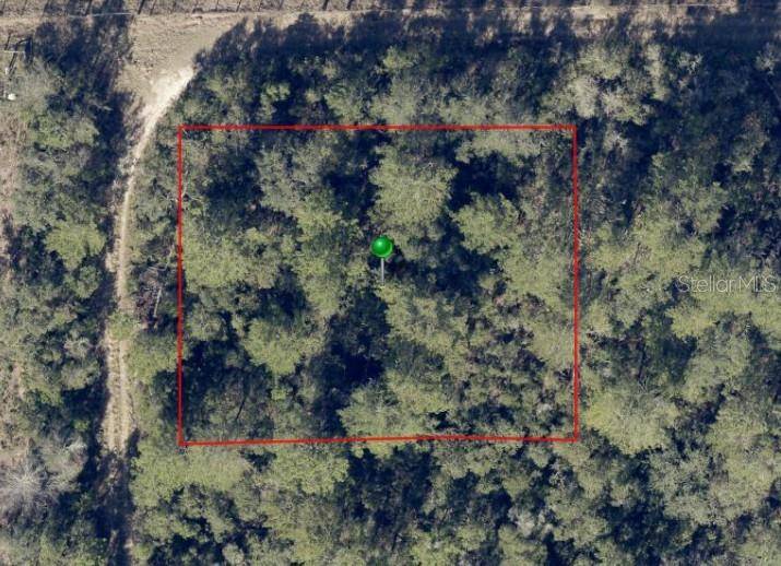 NO STREET, De Leon Springs, FL 32130