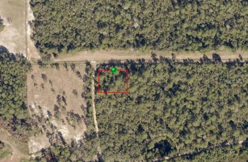 NO STREET, De Leon Springs, FL 32130