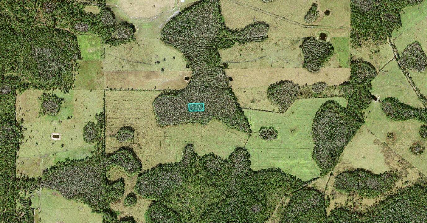 NO STREET, Polk City, FL 33868