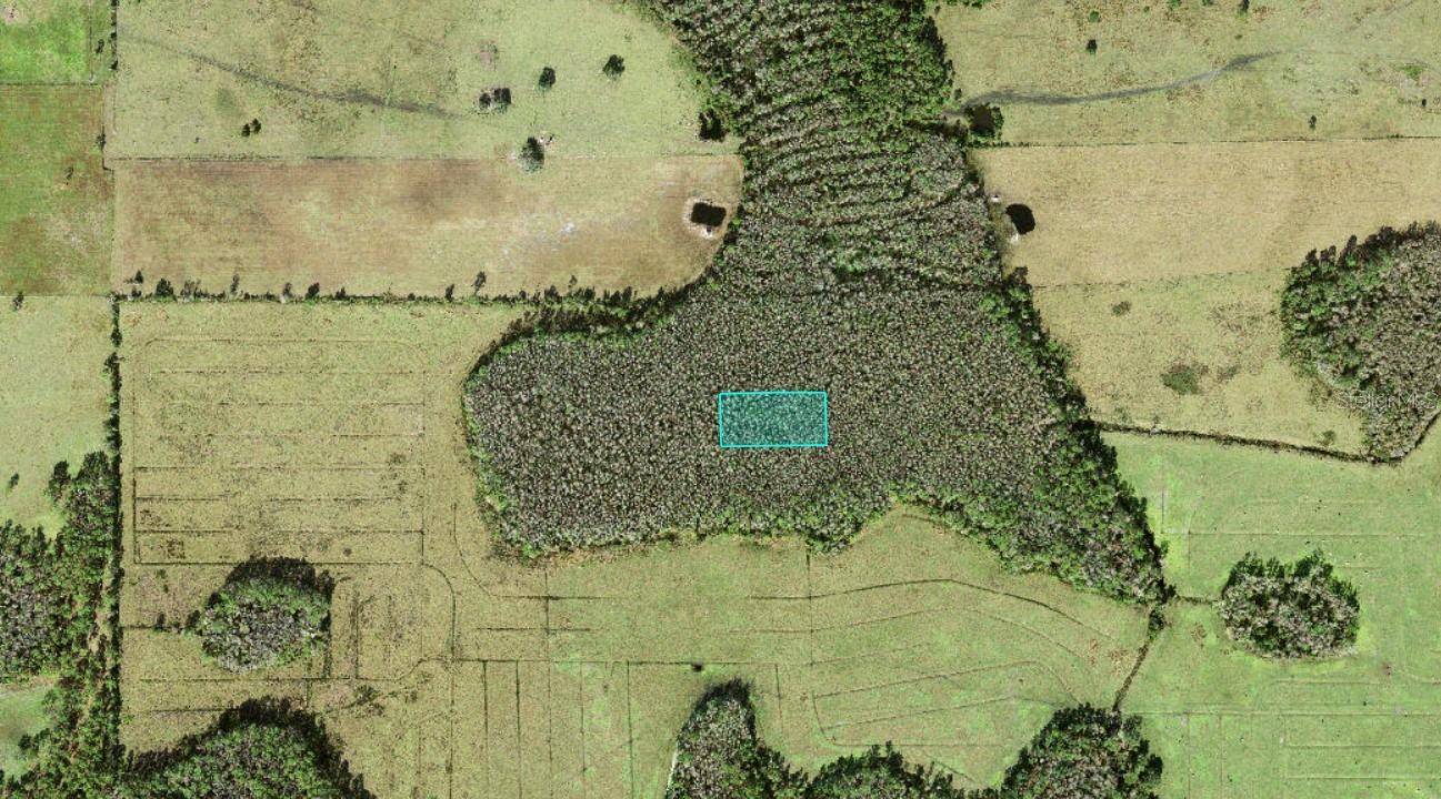 NO STREET, Polk City, FL 33868