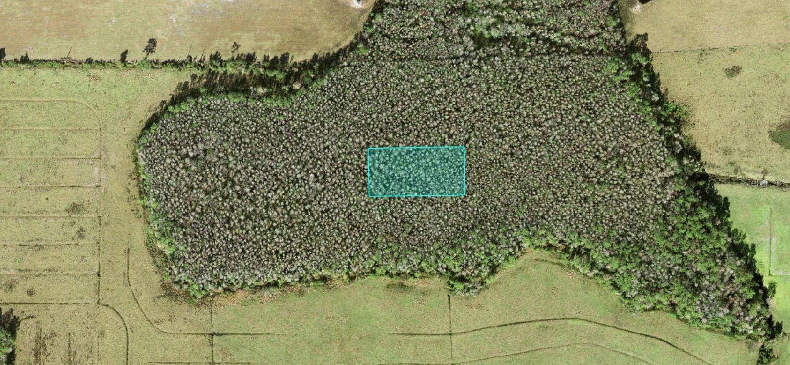 NO STREET, Polk City, FL 33868