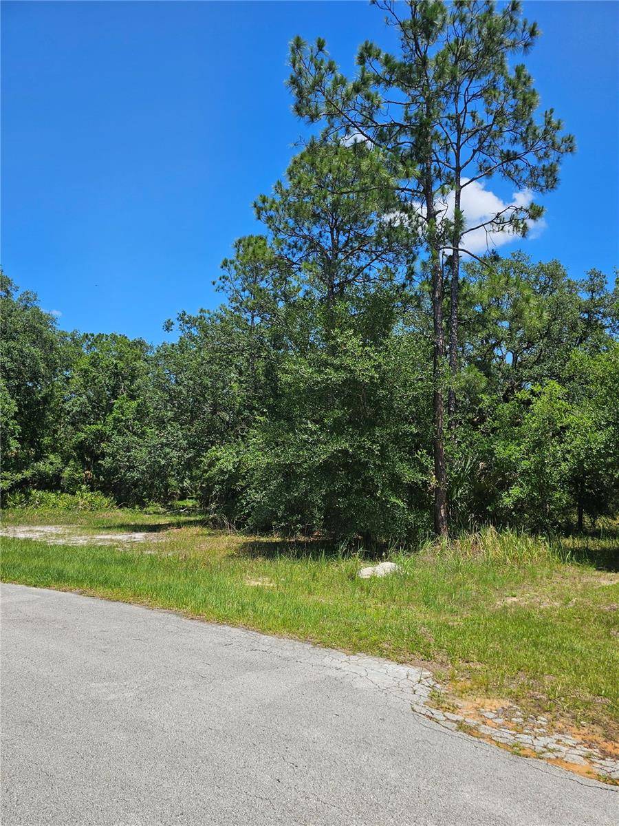 223 STARLING CT, Poinciana, FL 34759