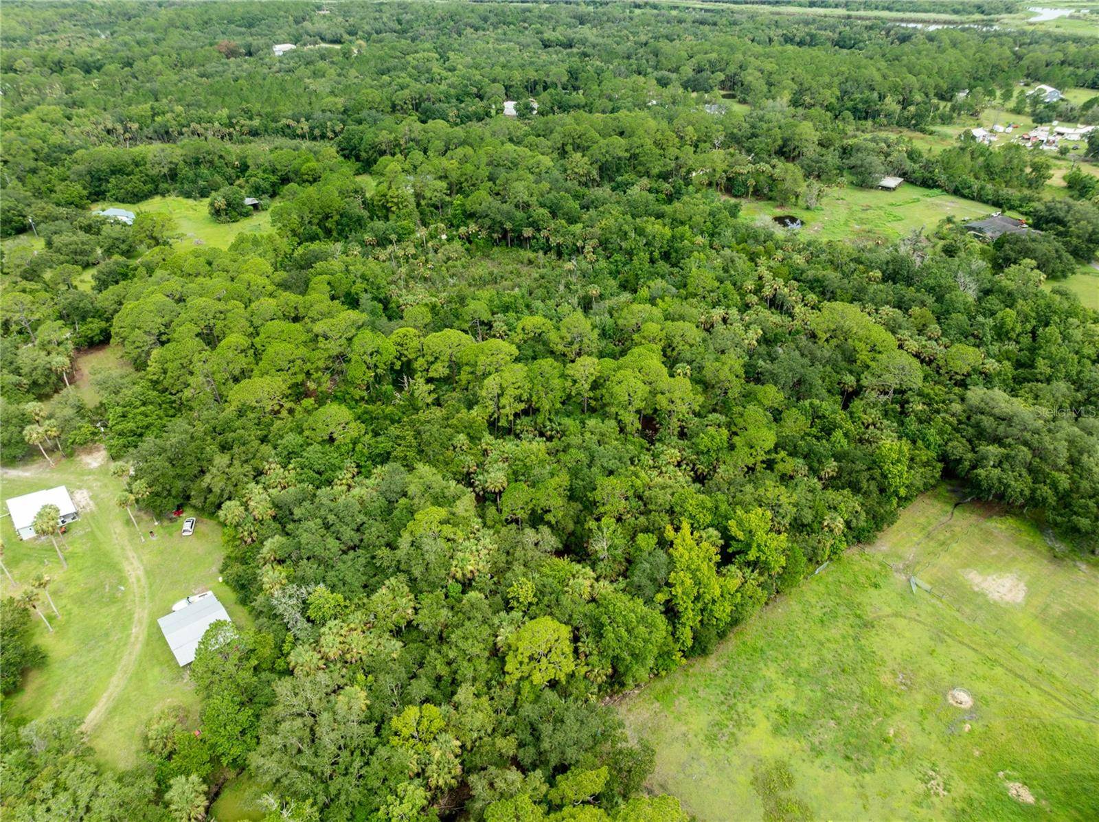 2750 PERCH RD, Geneva, FL 32732