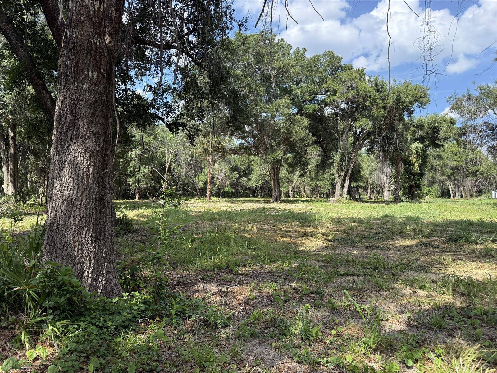 620 COCHRAN RD, Geneva, FL 32732