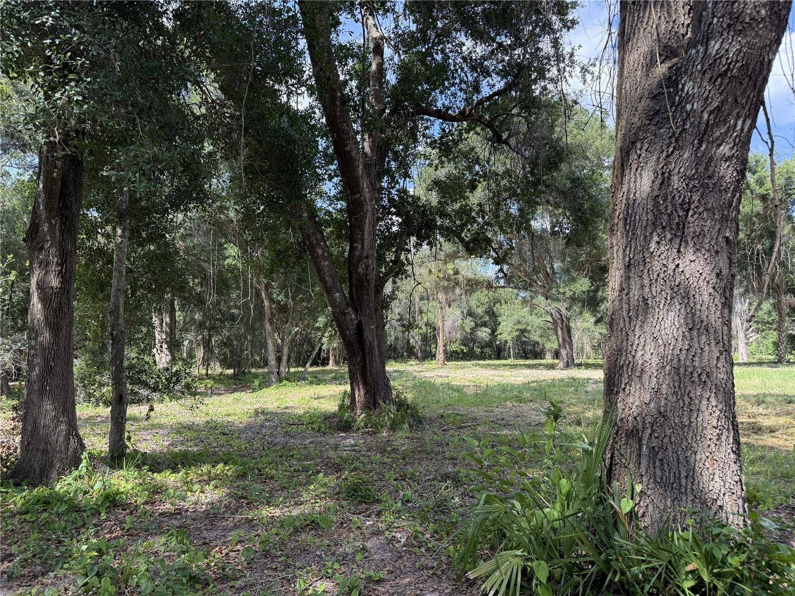 620 COCHRAN RD, Geneva, FL 32732