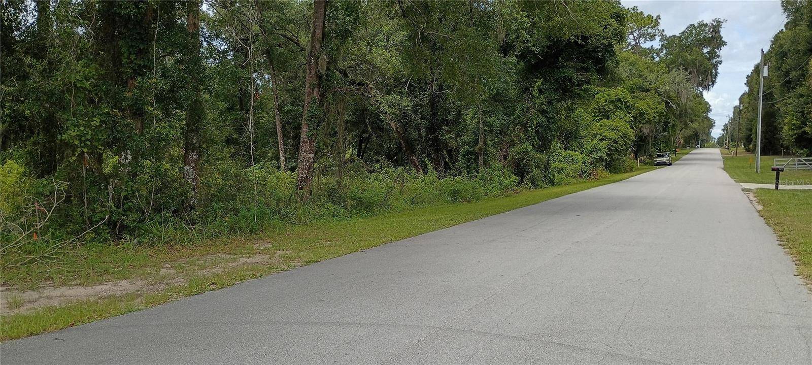 1876 BLACKWELDER RD, De Leon Springs, FL 32130