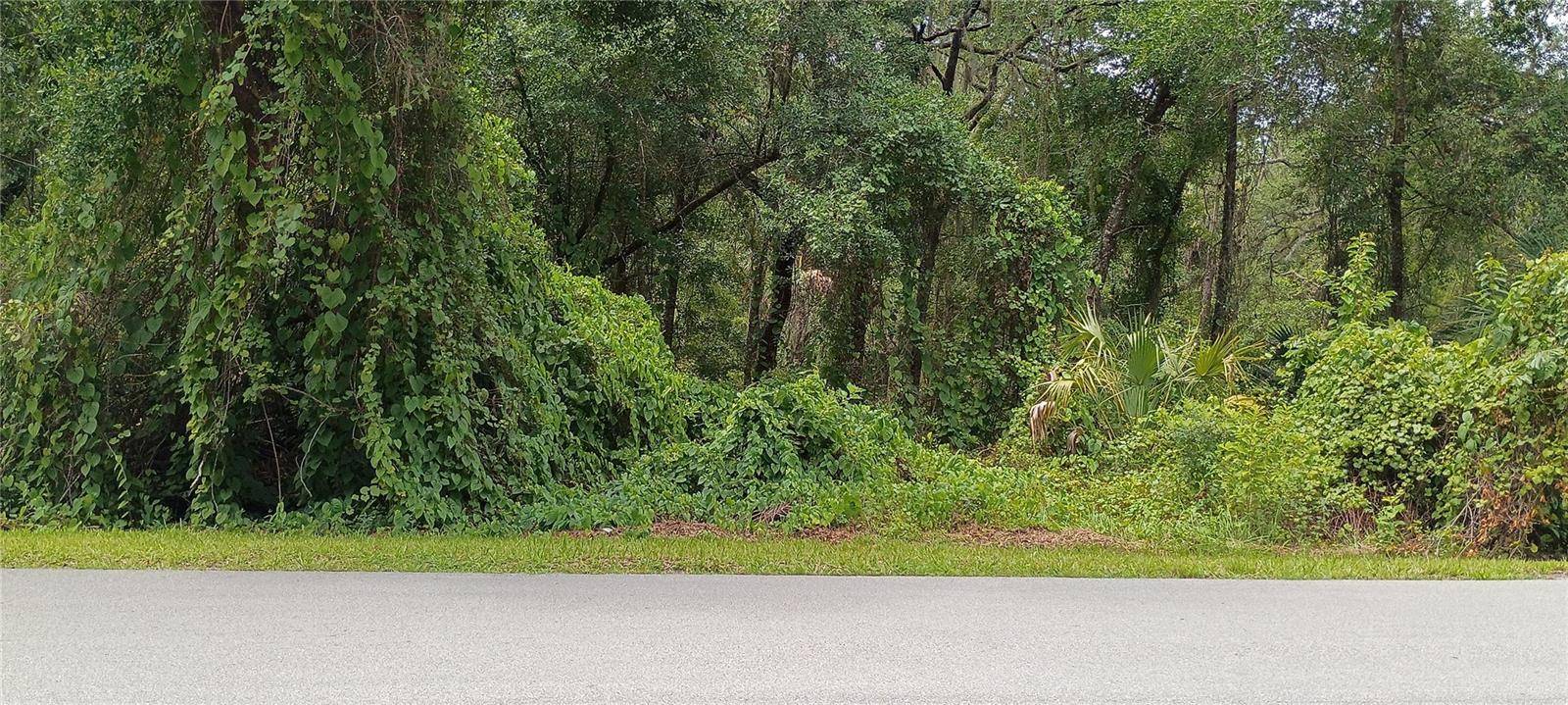 1876 BLACKWELDER RD, De Leon Springs, FL 32130