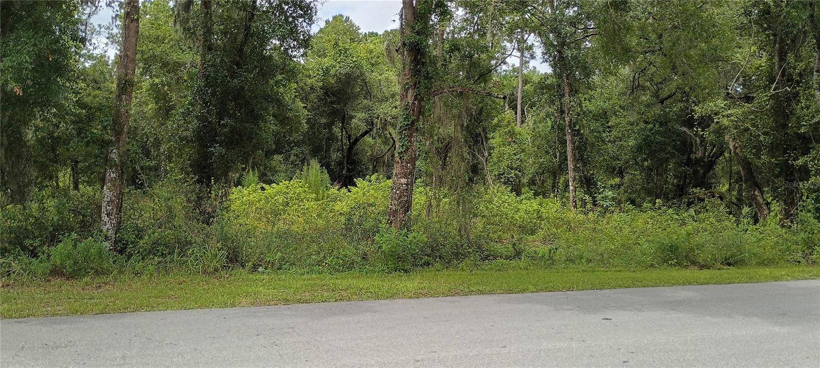 1876 BLACKWELDER RD, De Leon Springs, FL 32130