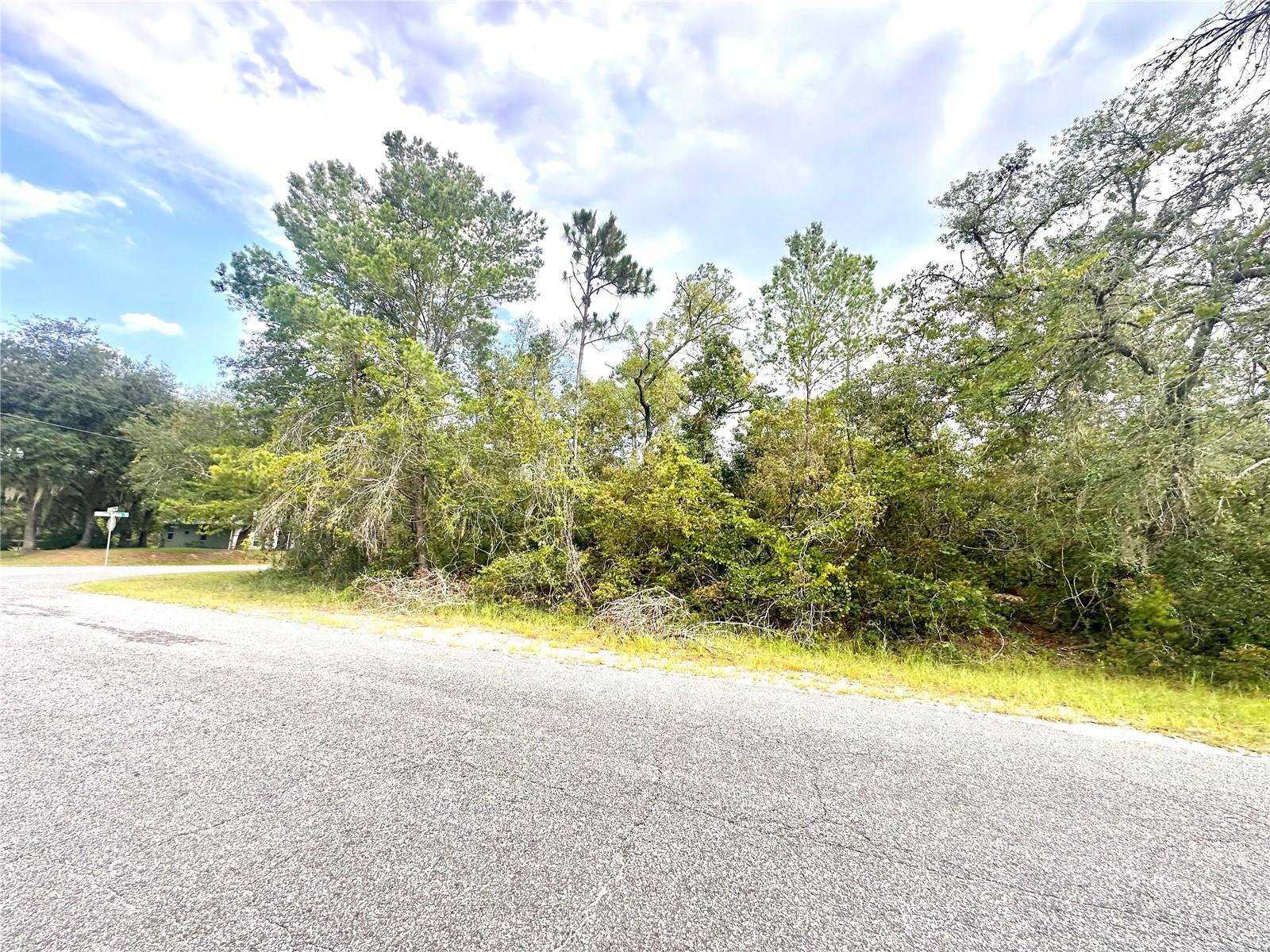 SAFFRON AVE, Eustis, FL 32736