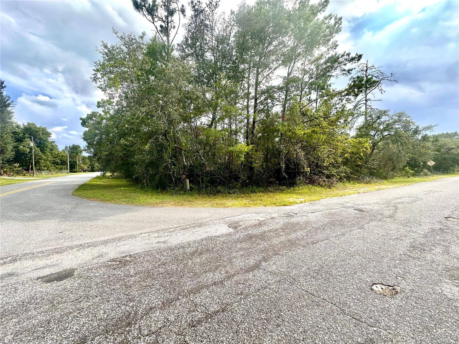 SAFFRON AVE, Eustis, FL 32736
