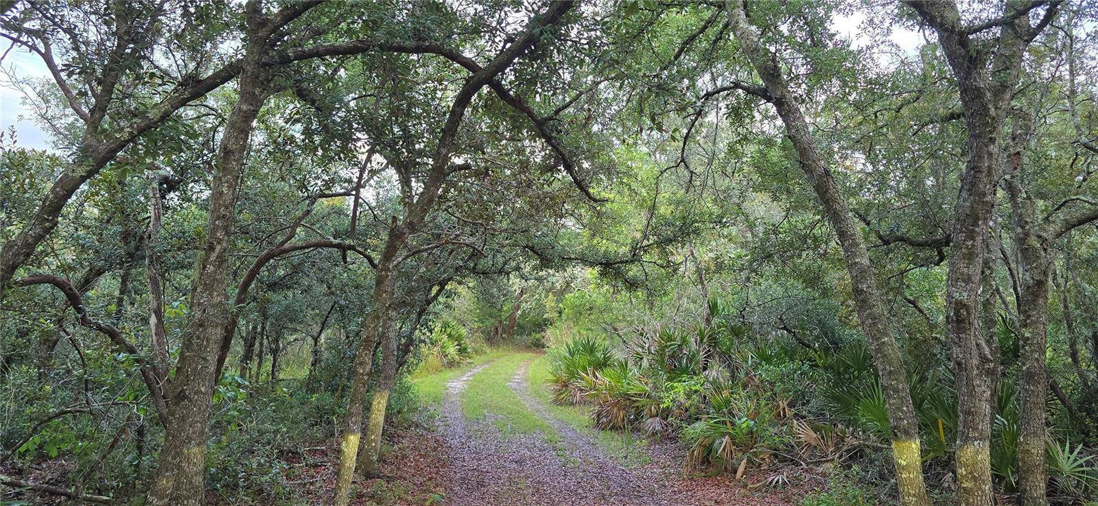6150 SW 126TH AVE, Cedar Key, FL 32625