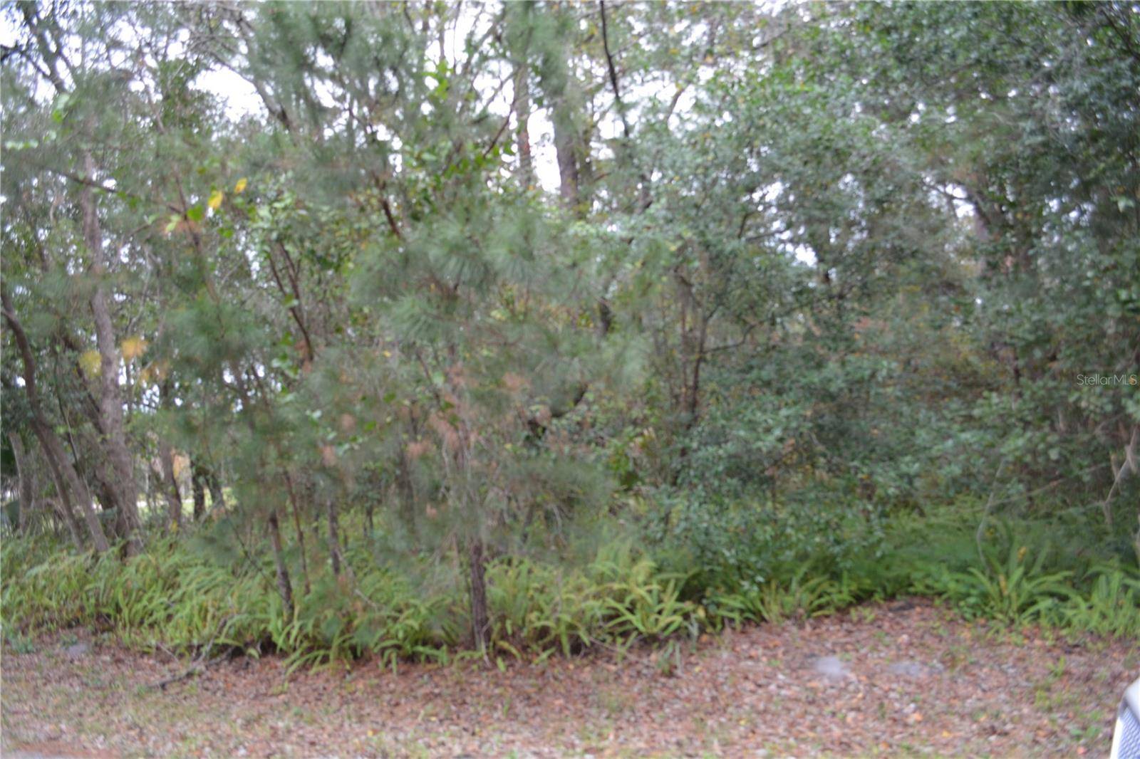 0 LINCOLN STREET, Sanford, FL 32771