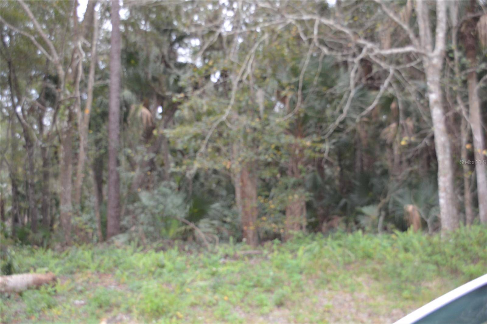 0 LINCOLN STREET, Sanford, FL 32771