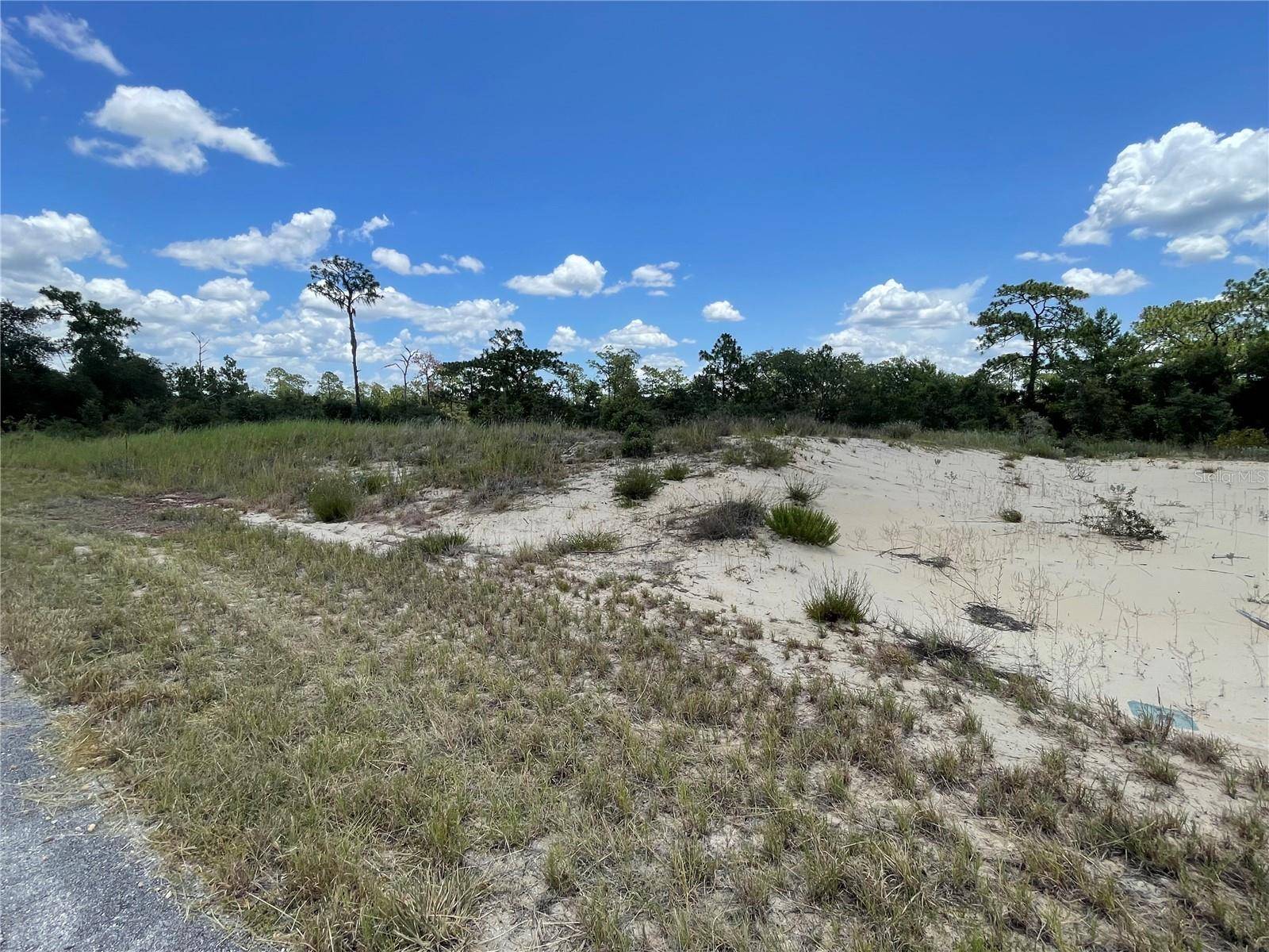 1342 HOMOSASSA CT, Poinciana, FL 34759