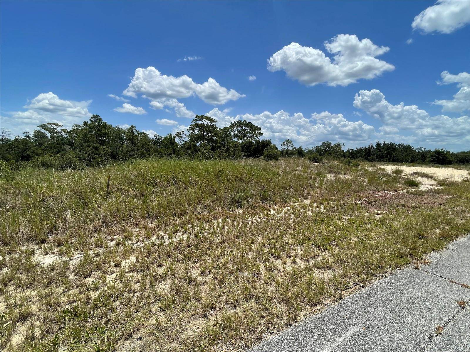 1342 HOMOSASSA CT, Poinciana, FL 34759