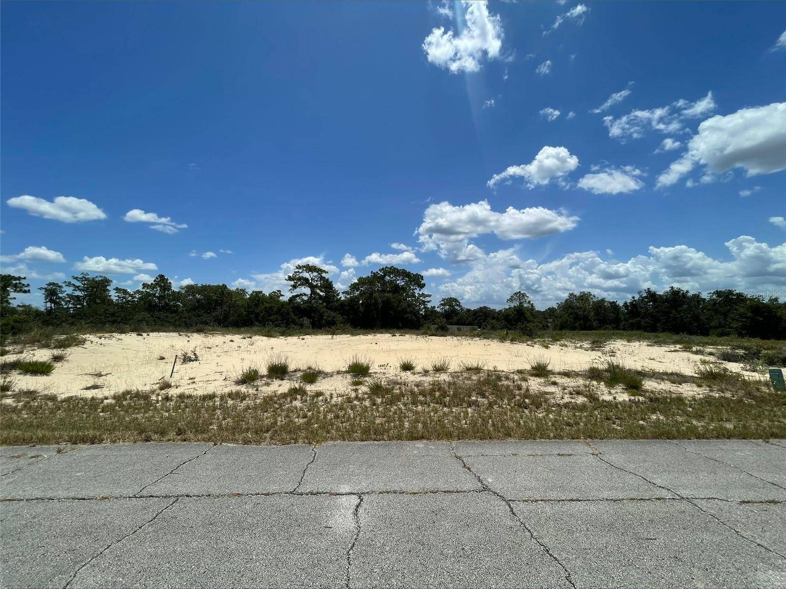 1344 HOMOSASSA CT, Poinciana, FL 34759