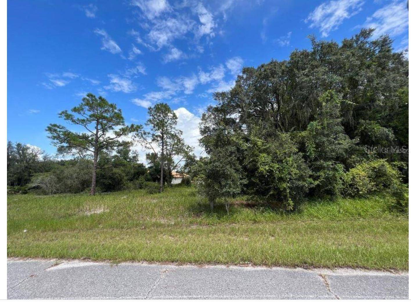 1336 HILLSBOROUGH CT, Poinciana, FL 34759