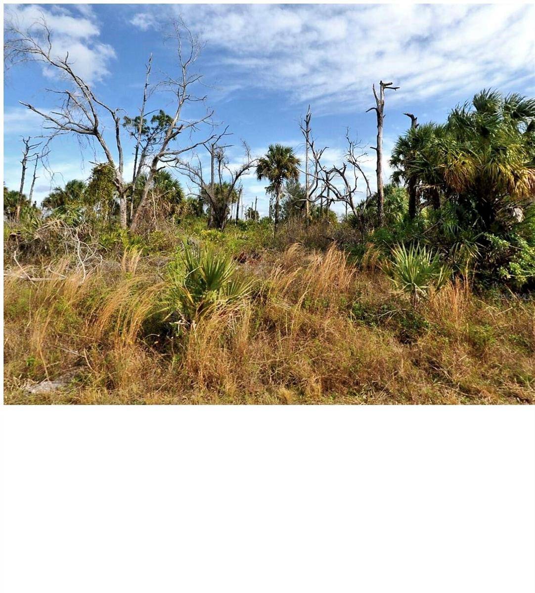 0 MENZLER ST, North Port, FL 34288