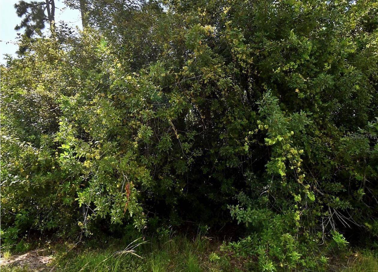 MAP AVE, North Port, FL 34286