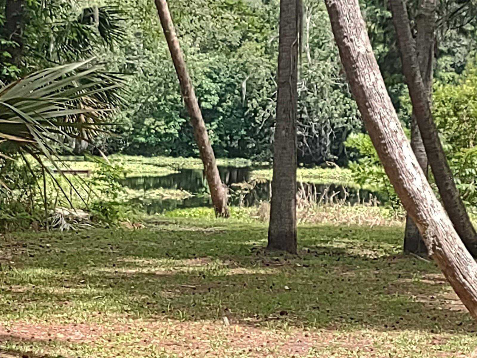 56508 BLUE CREEK RD, Astor, FL 32102