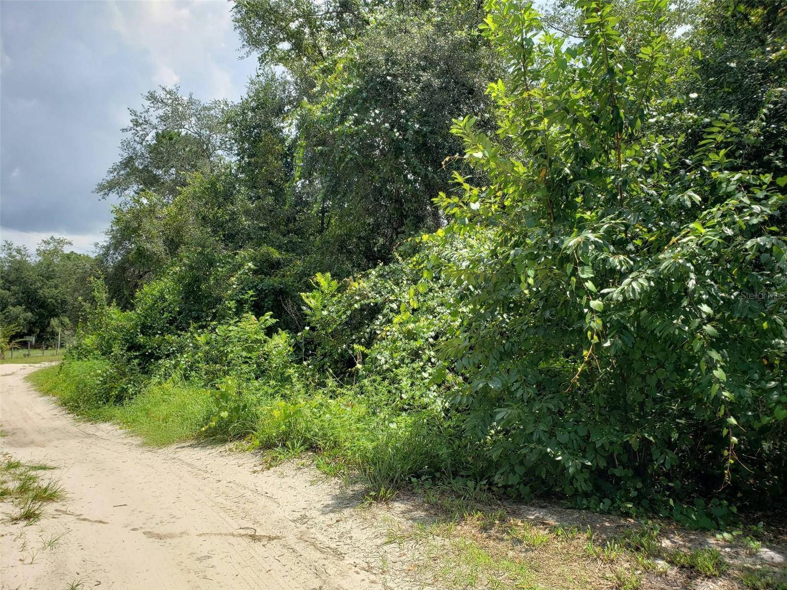 PINE VALLEY DR, Paisley, FL 32767