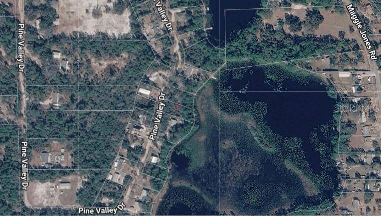 PINE VALLEY DR, Paisley, FL 32767