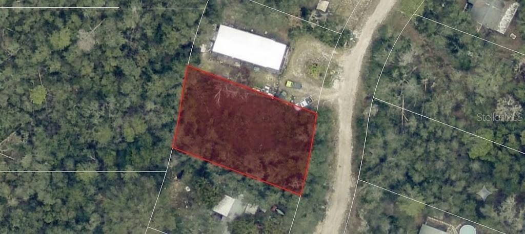 PINE VALLEY DR, Paisley, FL 32767