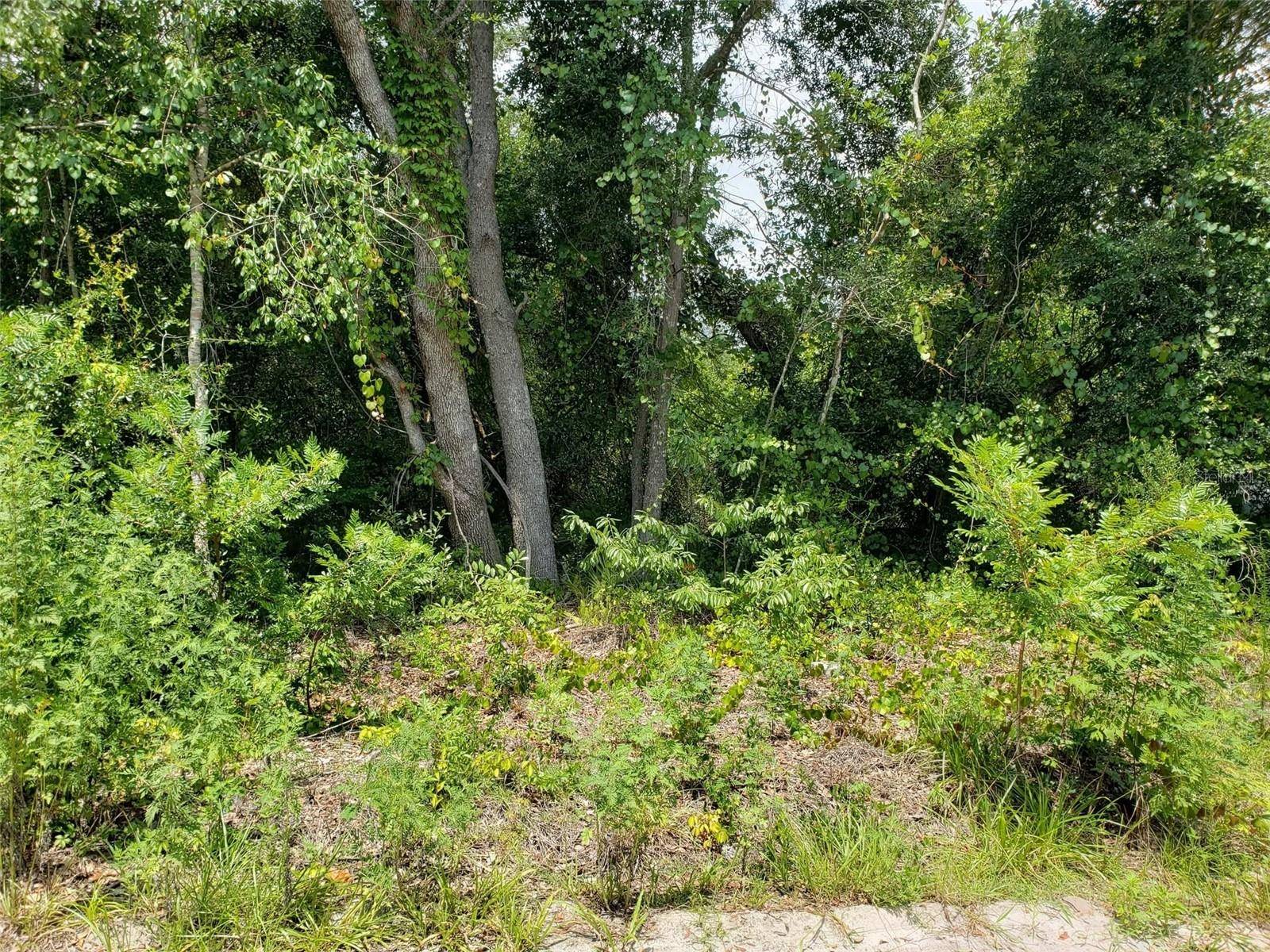 PINE VALLEY DR, Paisley, FL 32767