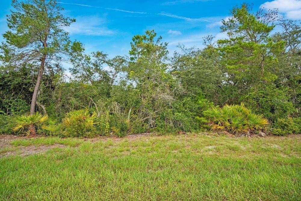 GEORGIA ST, Paisley, FL 32767