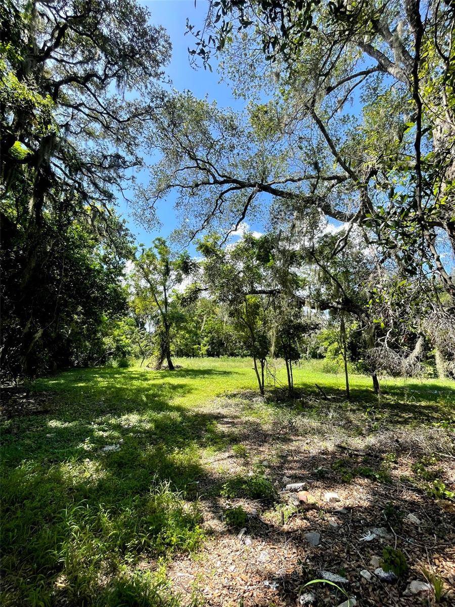 194 E 11TH ST, Apopka, FL 32703