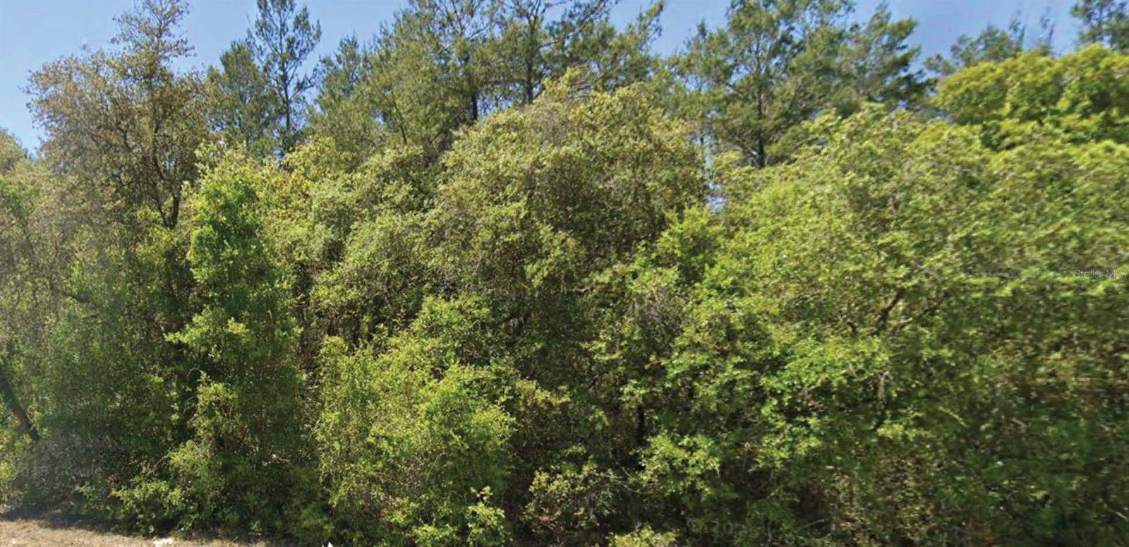 0 SE 309 AVE, Altoona, FL 32702