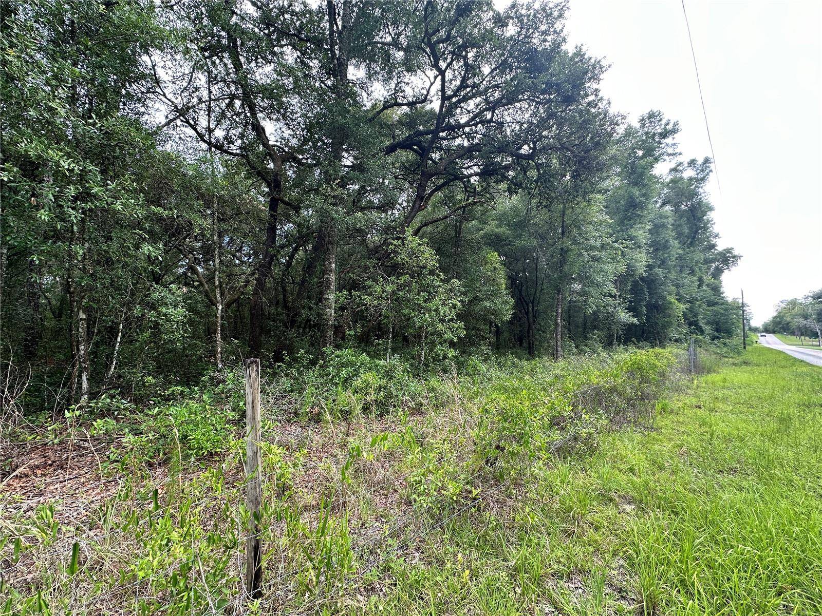 TBD NE 65TH LN, Bronson, FL 32621