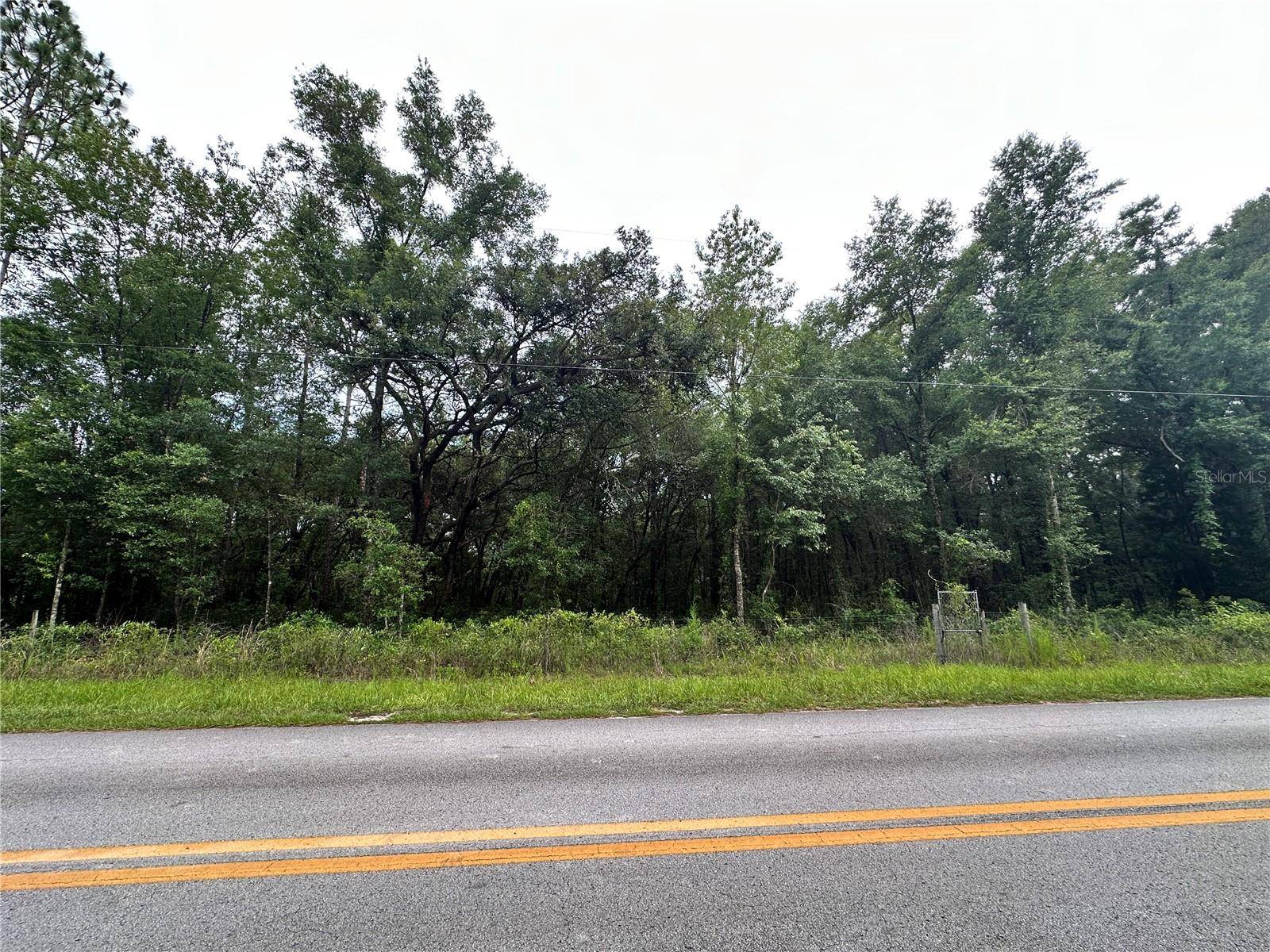 TBD NE 65TH LN, Bronson, FL 32621