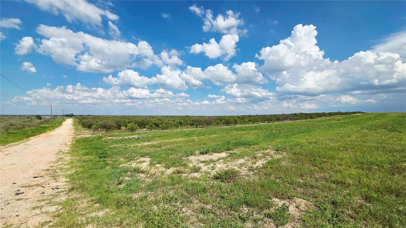 0 SEMINOLE RD, Babson Park, FL 33827