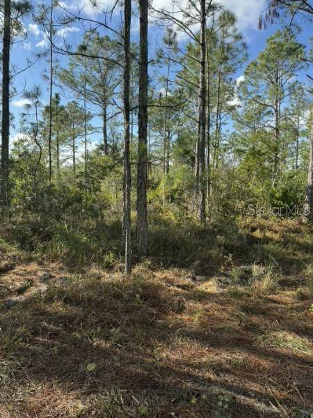 TBD, Frostproof, FL 33843