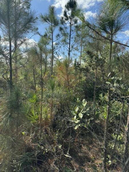 TBD, Frostproof, FL 33843