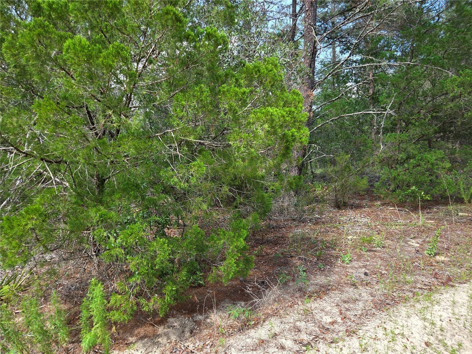 0000 NE 95TH ST, Archer, FL 32618