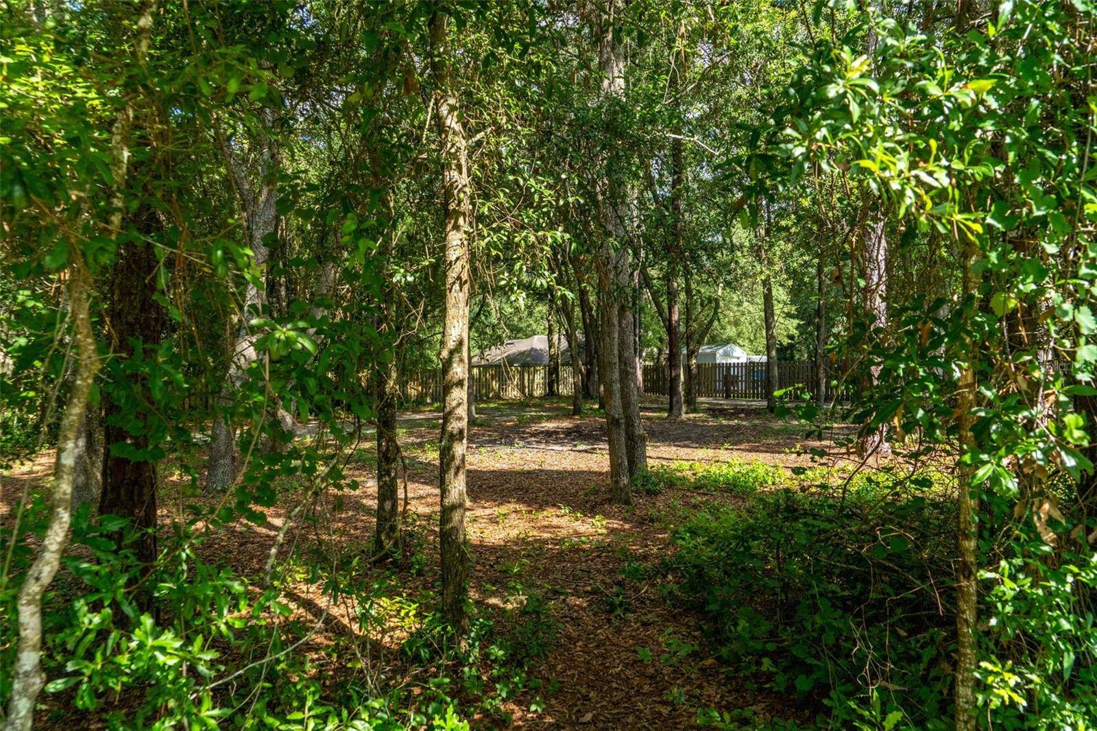 40 DEER TRAIL CIR, Bronson, FL 32621