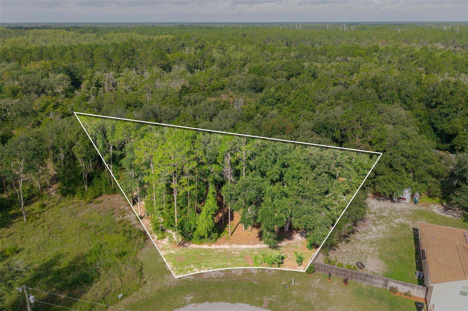 40 DEER TRAIL CIR, Bronson, FL 32621