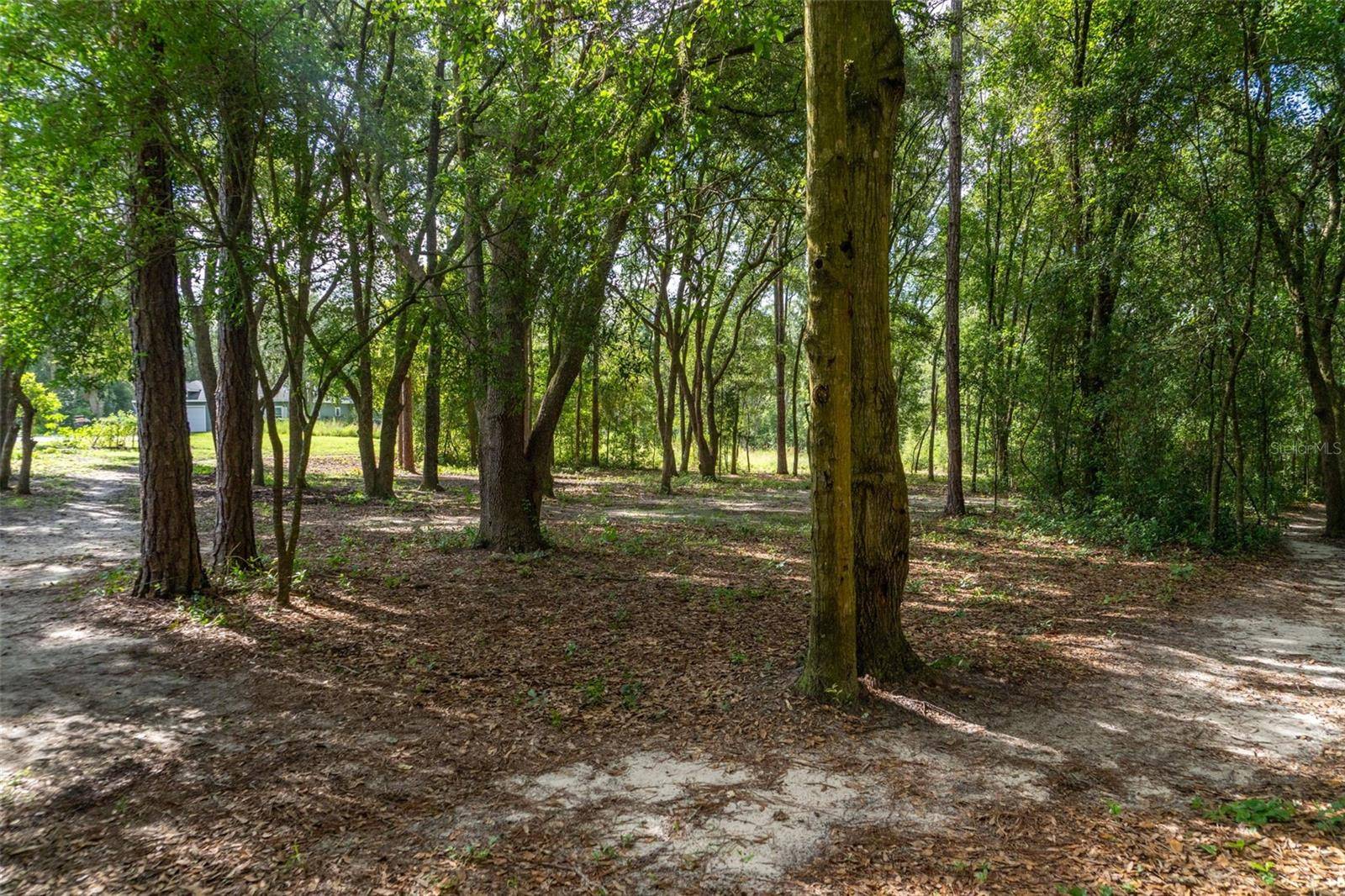 40 DEER TRAIL CIR, Bronson, FL 32621