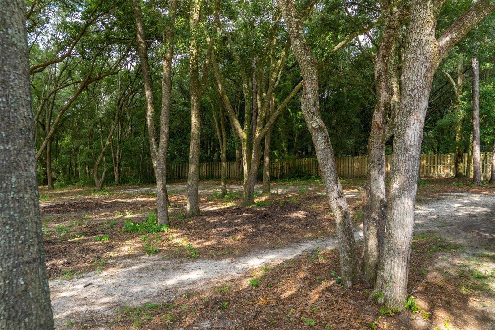 40 DEER TRAIL CIR, Bronson, FL 32621